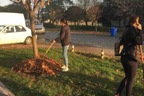 46290399_270839736906377_2126809097071230976_n