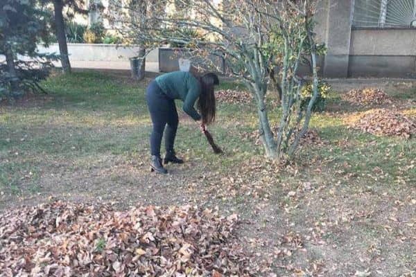 46312950_2116575748656495_5057747479110352896_n