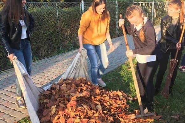 46352944_2204217486573239_8658985781945171968_n