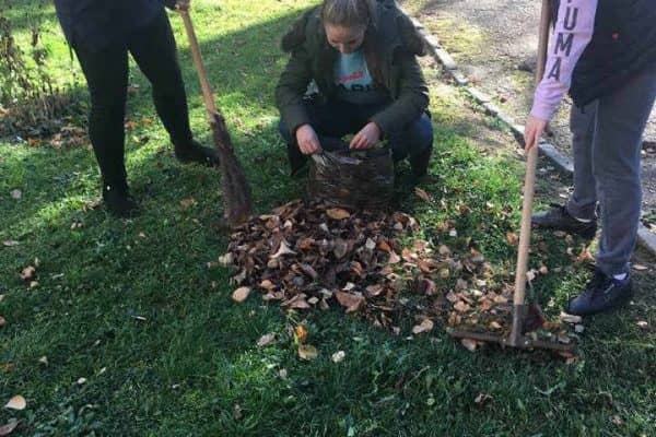 46387245_254830308525487_5849280896309395456_n