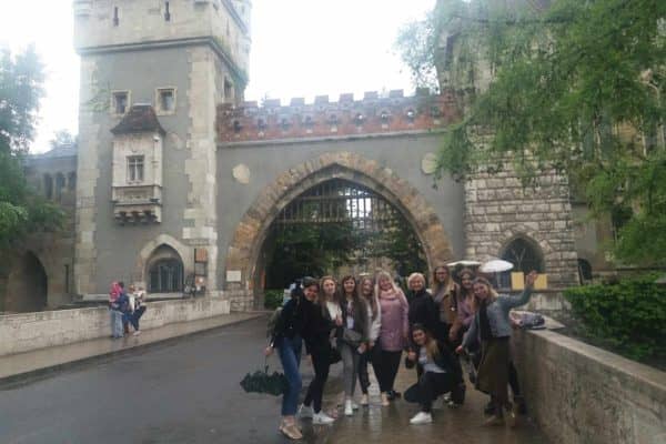 viber image 2019-05-06 , 20.59.16