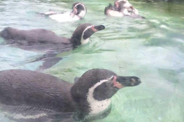 0-02-05-19dbfdf10ff02f934f0005dfd05af88c1e283d442e7cb5178711fef4f7b7b1db_full