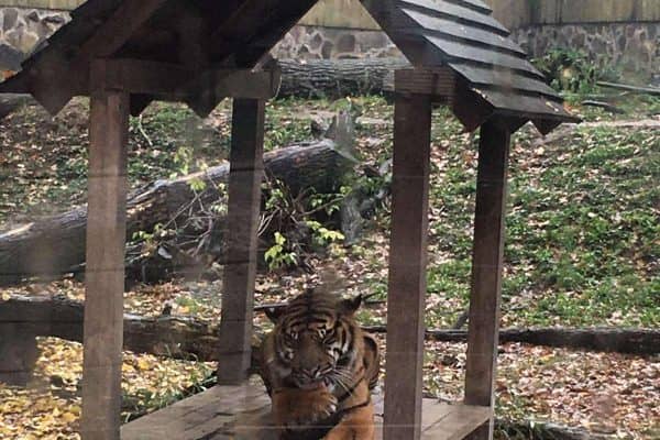 0-02-05-d48258d515c2278c357633889a01e5d161ab792631b8814c6d6e3bc42d6f9da8_full