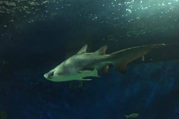 0-02-05-d6e546f66f5b1ed14593e742b97647b7c71d89bdf6fabc1565478c2507fe30c5_full