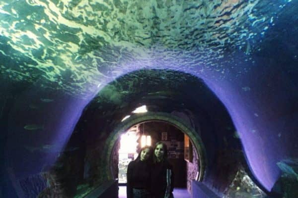 0-02-0a-06720246f6006bfbf93e8ec0d77d5ec0529877d9379d00f9e2633e17146b237d_full