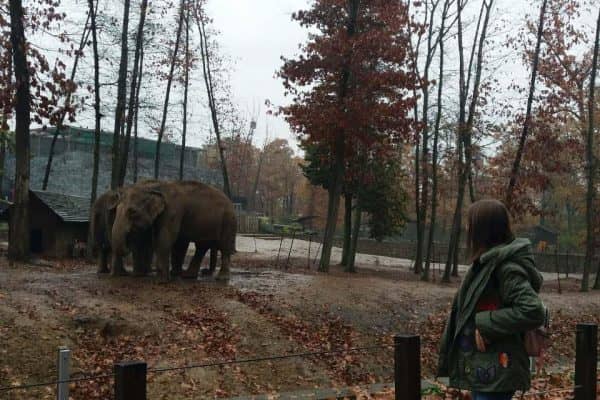 0-02-0a-16c8d197092e14877dc131b770d99bd45dc0ca27eeb29b86581f6583f324e763_full