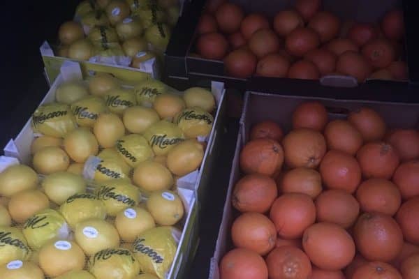 IMG-d5034be4e29c4a9b063a591364ab63eb-V (1)